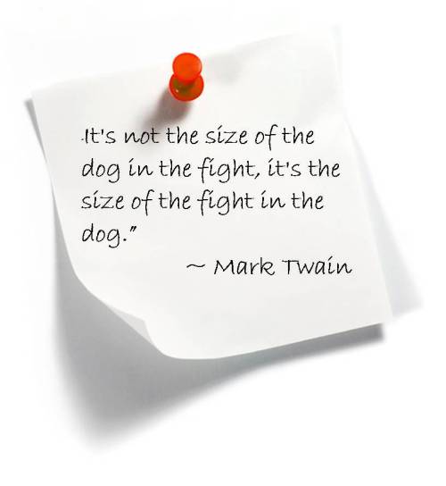 Mark Twain quote. → Leave a comment. Posted in Thoughts On "The Fight"